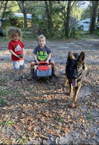 two boys play with a toy truck and a german shepherd